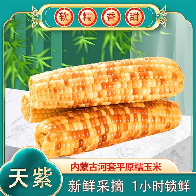 特优惠：瑞玲珑• 紫彩香糯10支，软糯香甜，软糯Q弹，真空锁鲜，天然紫彩，营养健康，零添加