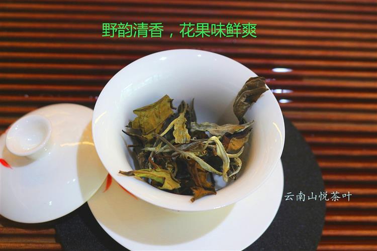 特惠6折：初见白茶，特选云南勐海大叶种鲜叶，古制茶艺， 清香柔润，果韵醇香，甘爽细滑，野韵悠香